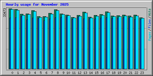 Hourly usage for November 2025