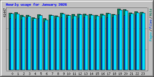 Hourly usage for January 2026