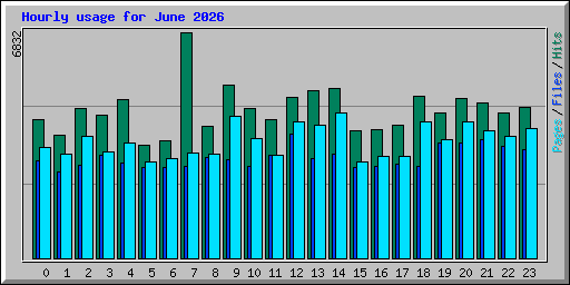Hourly usage for June 2026