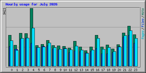 Hourly usage for July 2026