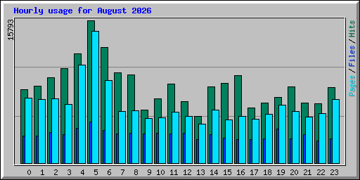 Hourly usage for August 2026